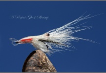 Rune Westphal 's Fly for Brown trout -  Photo – Fly dreamers 