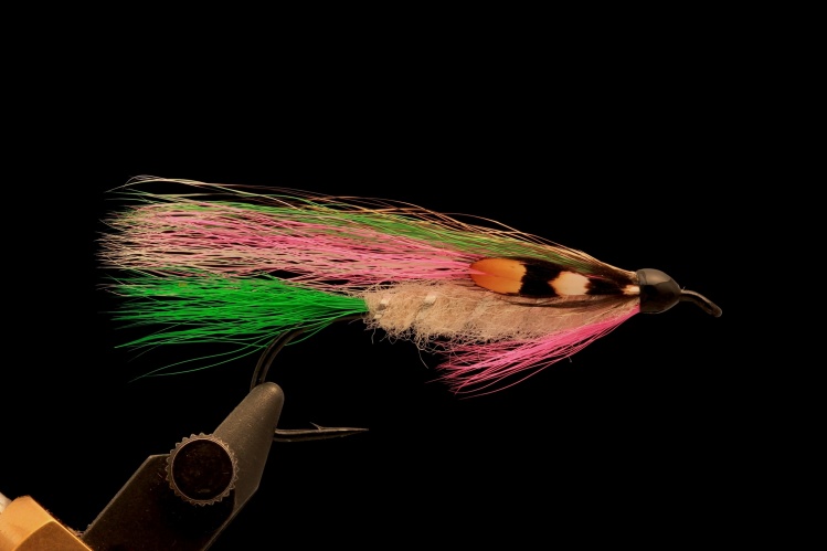 Little Rainbow Trout, one of my favorite streamers some years ago