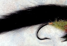Fly-tying for Silver salmon - Picture by Marcelo Morales 