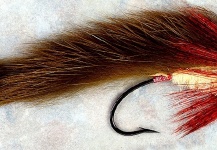 Marcelo Morales 's Fly for Silver salmon - – Fly dreamers 