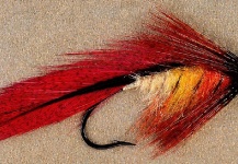 Marcelo Morales 's Fly-tying for Rainbow trout - Pic – Fly dreamers 