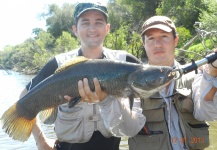 Fly-fishing Photo of Blue Wolf Fish shared by Sebastian Hasenbalg – Fly dreamers 