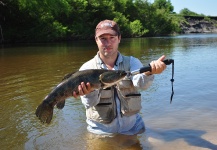 Fly-fishing Photo of Blue Wolf Fish shared by Sebastian Hasenbalg – Fly dreamers 