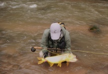  Mira esta Genial foto de Pesca con Mosca de Victor Rueda