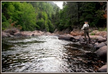 Fly-fishing Situation of Atlantic salmon - Photo shared by Martin Arcand – Fly dreamers 