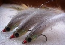 Sergio Salvatore 's Interesting Fly-tying Picture – Fly dreamers 