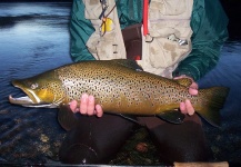  Fotografía de Pesca con Mosca de Salmo fario compartida por Gabriel Terrasanta | Fly dreamers