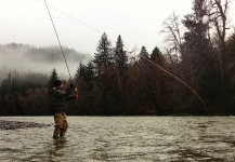 Steelhead Fly-fishing Situation – Jay Perry shared this () Image in Fly dreamers 