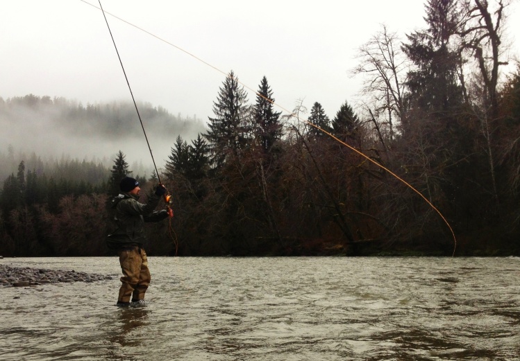 Steelheading the Olympic Peninsula, Wa