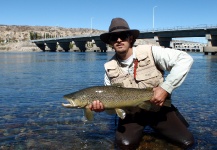 Gabriel Terrasanta 's Fly-fishing Photo of a Brown trout – Fly dreamers 
