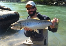 Fly-fishing Picture of Brown trout shared by Marcelo Widmann – Fly dreamers