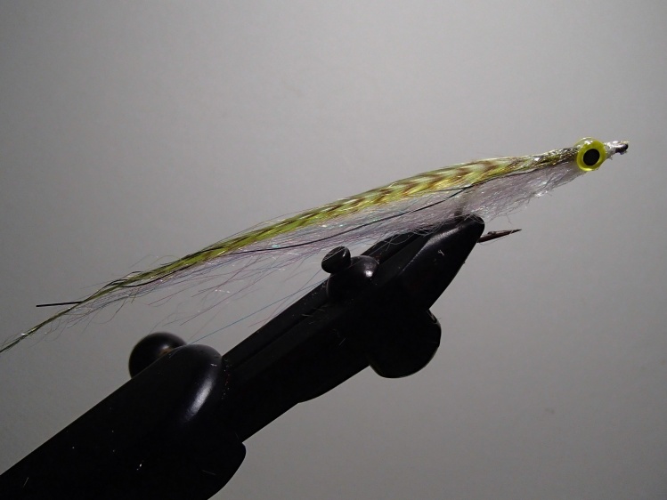 Simple fly of SF blend with a grizzly flat wing. The body is translucent with a little flash and the grizzly defines the back.  Last year it was a hot fly when the spearing were in.
