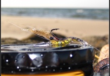 Magic Shrimp and some small sea trout