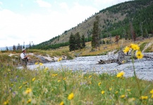  Otra Genial imagen de Situación de Pesca con Mosca de Jimbo Busse – Fly dreamers