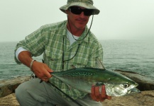 John Kelly 's Fly-fishing Photo of a False Albacore - Little Tunny – Fly dreamers 