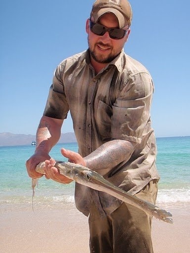 Reef cornet fish. Its no rooster but I don't know anyone else who has got one on the fly! 