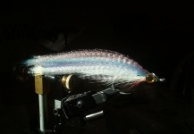 Silas Beck 's Fly-tying for Roosterfish - Photo – Fly dreamers 