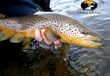 SW Montana fly fishing w/ FishTales Outfitting
