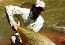 Alejandro Bianchetti 's Fly-fishing Photo of a Golden Dorado – Fly dreamers 