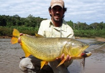 Fly-fishing Photo of Golden Dorado shared by Alejandro Bianchetti – Fly dreamers 