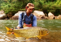 Fly-fishing Pic of Golden Dorado shared by Alejandro Bianchetti – Fly dreamers 