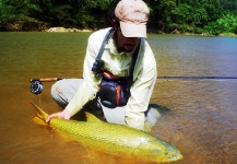 Golden dorado Fly-fishing Situation – Alejandro Bianchetti shared this Great Image in Fly dreamers 