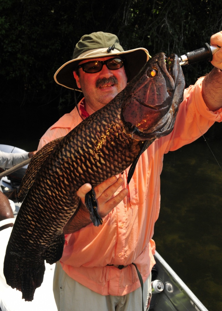 Trairón en el alto Xingú, Brasil
Another wolf fish with a rusty color