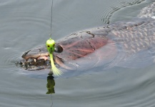 Fly-fishing Photo of Aimara shared by Marcelo Morales – Fly dreamers 