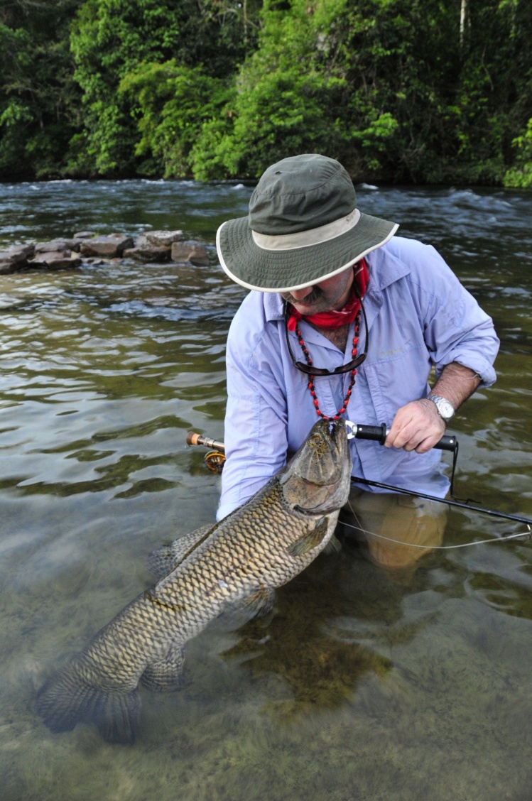 Trairón alto río Xingú
Xingú river Wolf fish