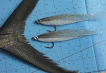 Fly-tying for False Albacore - Little Tunny - Picture by Bob Veverka 