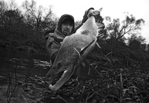  Fotografía de Pesca con Mosca de Salmón del Atlántico compartida por Paulius Mazuras – Fly dreamers