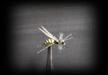  Fotografía de Atado de moscas para Barbo compartida por Antonio Luis Gahete – Fly dreamers