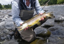 Fly-fishing Photo of Brown trout shared by Paige Olson – Fly dreamers 