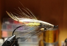 Salmon flies