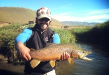 Fly-fishing Image of Brown trout shared by Fernando Cassanello – Fly dreamers