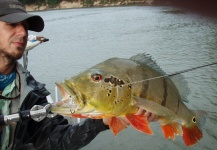 Marcelo Morales 's Fly-fishing Catch of a Peacock Bass – Fly dreamers 