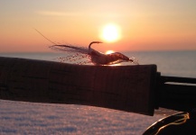  Fotografía de Atado de moscas para Trucha marrón compartida por Rune Westphal – Fly dreamers