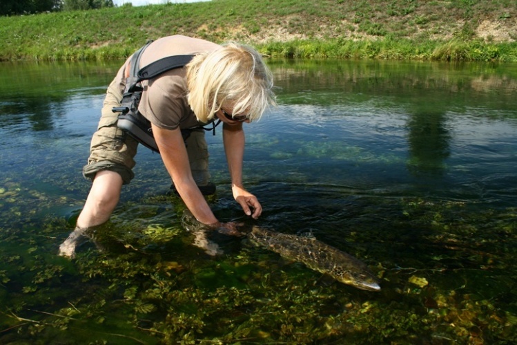 flyfishing