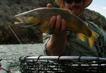 Fly-fishing Picture of von Behr trout shared by David Farrall – Fly dreamers