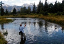 Fly-fishing Situation of Cutthroat shared by David Farrall 