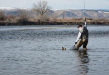 Great Fly-fishing Situation of Brown trout shared by Brady Fackrell 