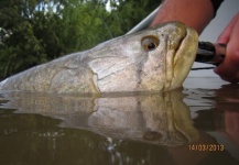 situaciones de pesca