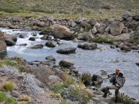 Foto de pesca con mosca