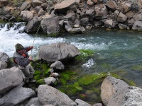 Foto de pesca con mosca