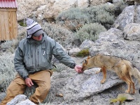 Fly fishing picture