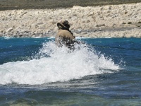 Foto de pesca con mosca