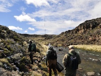 Fly fishing picture