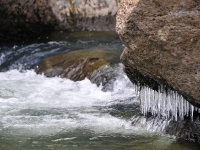 Foto de pesca con mosca