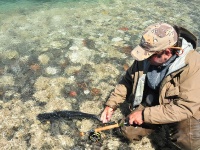 Fly fishing picture