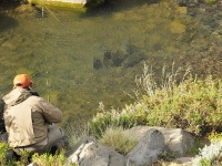 Foto de pesca con mosca